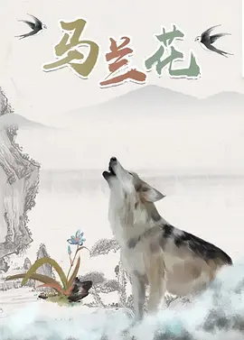 沈妍